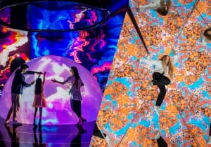 ticket-Discover Pass