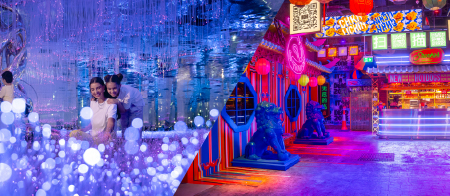 Discover Pass - AED 225